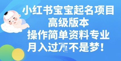 小红书宝宝起名项目高级版本，操作简单，资料专业，月入过W-互联网-新思维