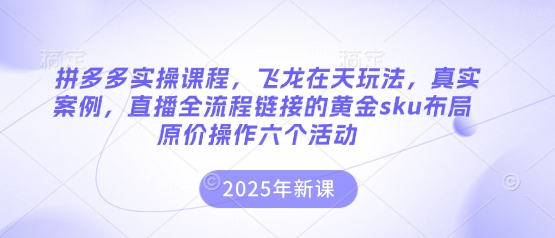 拼多多实操课程，飞龙在天玩法，真实案例，直播全流程链接的黄金sku布局原价操作六个活动-互联网-新思维