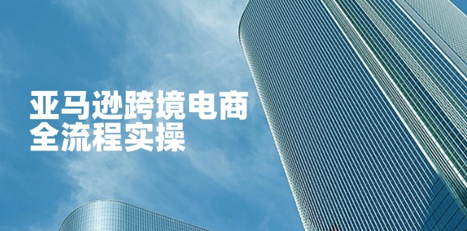 （14252期）亚马逊跨境电商全流程实操，教你从零开始，掌握店铺运营与广告技巧-互联网-新思维