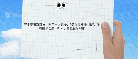 AI养生赛道新玩法，10条作品涨粉5.2W，操作简单，新人小白能轻松制作-互联网-新思维