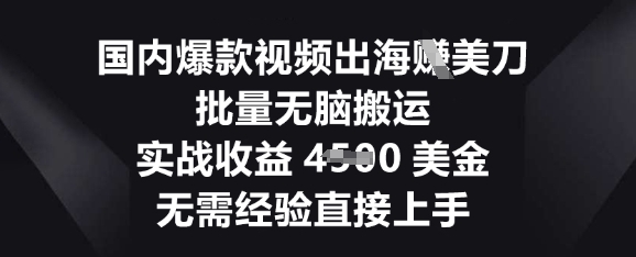 国内爆款视频出海挣美刀，批量无脑搬运，实战收益4.5k，无需经验直接上手-互联网-新思维