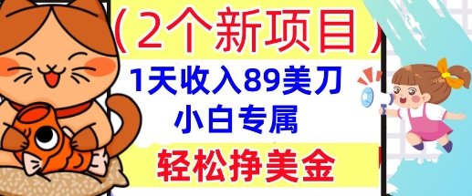2个新项目，轻松挣美金， 1天收入89美刀，小白专属，干货分享-互联网-新思维