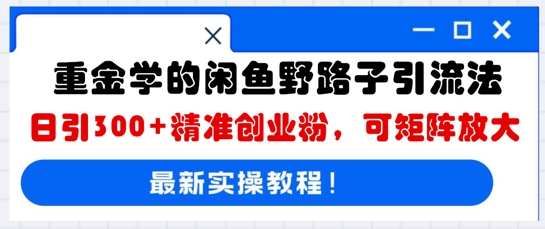 重金学的闲鱼野路子引流法，日引300+精准创业粉，可矩阵放大-互联网-新思维