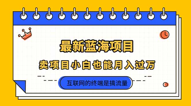 （14289期）2025年最新蓝海项目，卖项目小白也能月入过万-互联网-新思维