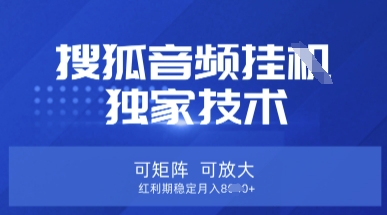 【搜狐音频挂G】独家技术，可矩阵可放大，红利期稳定月入8k【揭秘】-互联网-新思维