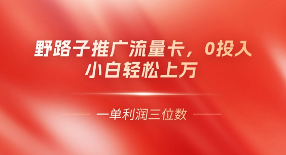 0门槛推广流量卡，一单收益上百，0投入，小白月入过W-互联网-新思维