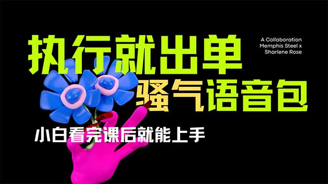 （14170期）爆火全网的开车导航骚气语音包,只要执行就出单，小白看完课程就能实操...-互联网-新思维