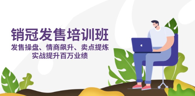 （14203期）销冠 发售培训班：发售 操盘+情商 飙升+卖点 提炼，实战提升百万业绩-互联网-新思维