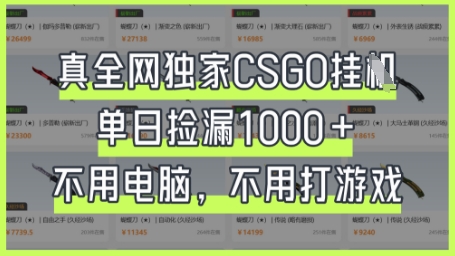 真全网独家CSGO挂G，单日捡漏1k+【揭秘】-互联网-新思维