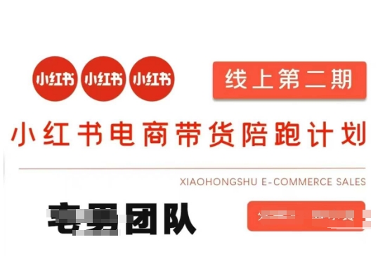 小红书电商带货课2期，月利润20个的小红书电商的有货源，无货源，虚拟产品，付费投流等整套玩法-互联网-新思维