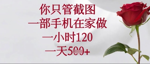 你只管截图，一部手机在家操作，一小时120.一天5张【揭秘】-互联网-新思维