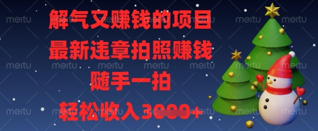 解气又挣钱的项目，最新违章拍照挣钱，随手一拍，轻松收入数张【揭秘】-互联网-新思维